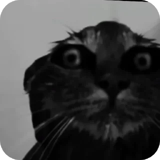 👍 emoji پک رسمی | اتحاد جماهیر آسمون ☪ Telegram sticker 24 of 91