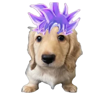 🫥 emoji Bella Telegram sticker 13 of 17