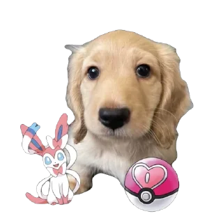🫥 emoji Bella Telegram sticker 11 of 17