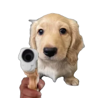 🫥 emoji Bella Telegram sticker 5 of 17