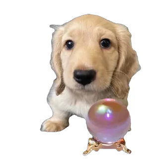 🫥 emoji Bella Telegram sticker 9 of 17