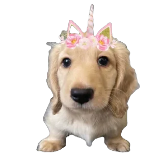 🫥 emoji Bella Telegram sticker 10 of 17