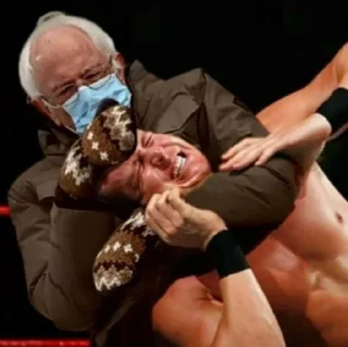 👊 emoji Bernie sitting | @HolyPulpFiction Telegram sticker 9 of 95
