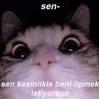 😊 emoji Sevimli Moodum 💖 Telegram sticker 10 of 70