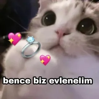 Sticker from Sevimli Moodum 💖