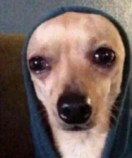 🥺 emoji MOOD DOGS | @HOLYPULPFICTION Telegram sticker 13 of 111