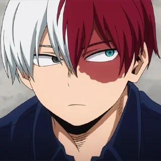 Sticker from (@Tengen) Shouto Season 5