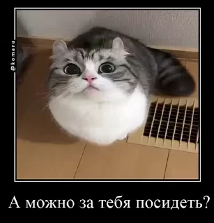 🌟 emoji Lounge | Ветка креативов Telegram sticker 16 of 92