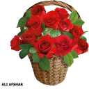 🌺 emoji ALI-AFSHAR-20 Telegram sticker 11 of 72