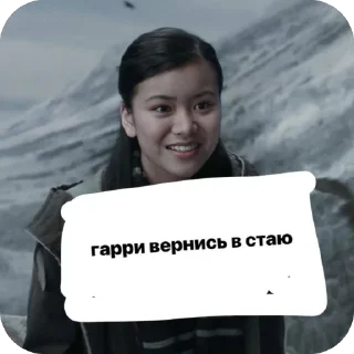 Sticker from гарри,вернись в стаю