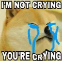 😭 emoji doeg Telegram sticker 9 of 94