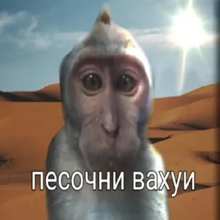 👌 emoji вахуи Telegram sticker 9 of 13