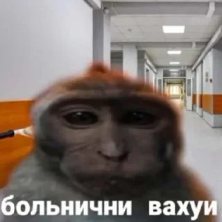 👌 emoji вахуи Telegram sticker 5 of 13