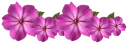 🌹 emoji فواصل 🌷🌷🌷🌷 Telegram sticker 8 of 63