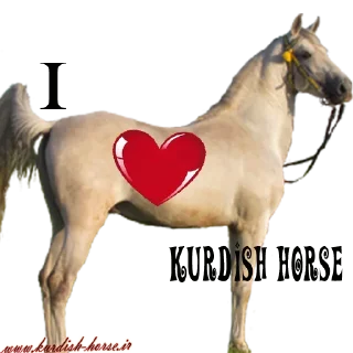 ❤️ emoji Kurdish horse Telegram sticker 19 of 45