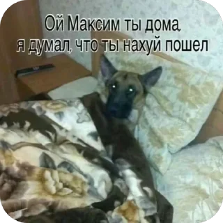 🫥 emoji Пиздос Telegram sticker 17 of 46