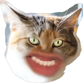 Sticker from like