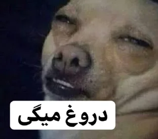 🤥 emoji مشک و پنیر Telegram sticker 17 of 120