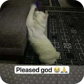 🫥 emoji Raya 2 😭🌟 Telegram sticker 13 of 15