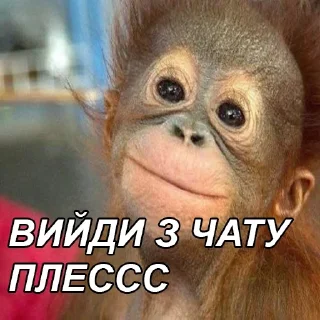 👈 emoji //їм сирники Telegram sticker 19 of 117