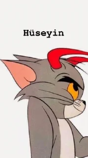 🐱 emoji Hüseyin dede Telegram sticker 13 of 15