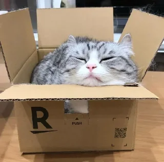 📦 emoji cutecat @StickerCnl Telegram sticker 12 of 120