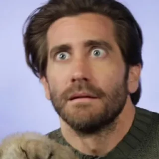 😲 emoji SarshojJakeGyllenhaal Telegram sticker 14 of 76