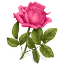 Sticker from Lovely