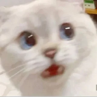 😨 emoji black starter pack Telegram sticker 13 of 50