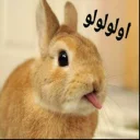 😝 emoji 🐰دوشان🐰 Telegram sticker 7 of 52