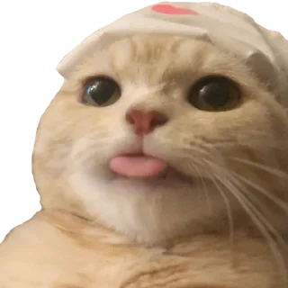 😋 emoji Cal's Miscellaneous Stickers Telegram sticker 10 of 120