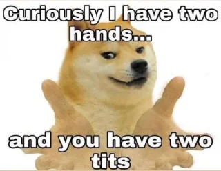 🫃 emoji this bitch mental Telegram sticker 15 of 66