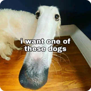 🥖 emoji BORZOI🥖 Telegram sticker 15 of 46