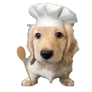 🫥 emoji Bella Telegram sticker 14 of 17