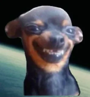🐕‍🦺 emoji Karma Telegram sticker 11 of 35