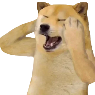 😱 emoji Bogdanoff is Back Telegram sticker 11 of 48
