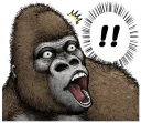 ❗ emoji Gorilla Gorilla 2 Telegram sticker 9 of 40