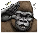 ✋ emoji Gorilla Gorilla 2 Telegram sticker 13 of 40