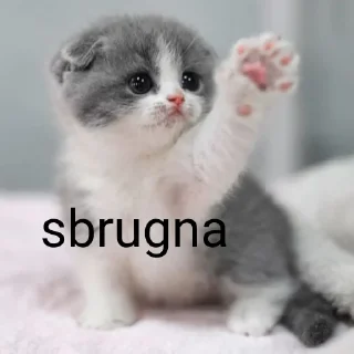🐱 emoji cacca culo pisnelo Telegram sticker 8 of 13