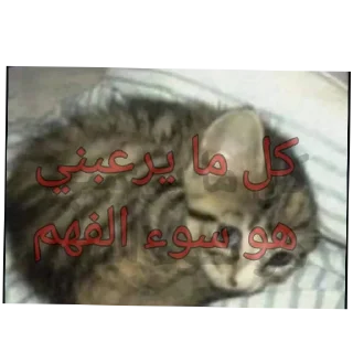 🖼 emoji Cat'sهواجيس @Touyx Telegram sticker 15 of 57