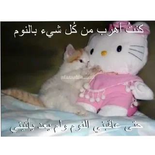 🐱 emoji Cat'sهواجيس @Touyx Telegram sticker 5 of 57