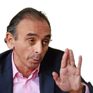 ✋ emoji Zemmour Telegram sticker 10 of 35