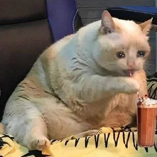 😢 emoji Cats Telegram sticker 9 of 120