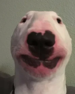🙂 emoji McCloud Shitty pack Telegram sticker 15 of 32