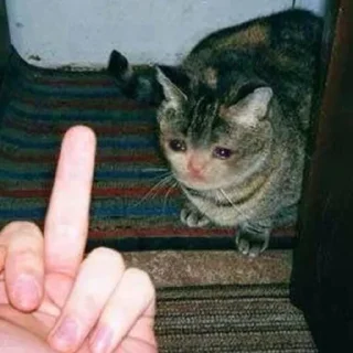 😭 emoji Crying Cat Deluxe 無限MUGEN Telegram sticker 5 of 52