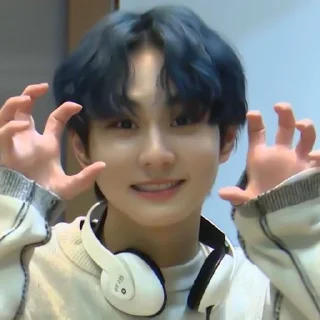 📓 emoji ✦ jungwon by @fancysticks Telegram sticker 20 of 30