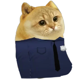 👮‍♂️ emoji Cate The Cat Telegram sticker 20 of 58