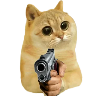 👊 emoji Cate The Cat Telegram sticker 13 of 58