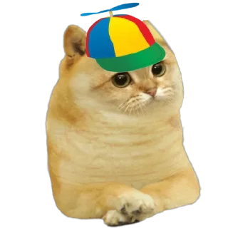 😻 emoji Cate The Cat Telegram sticker 24 of 58
