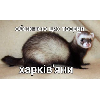 🇺🇦 emoji ЧВК "Акацуки" by @dryaed Telegram sticker 10 of 26
